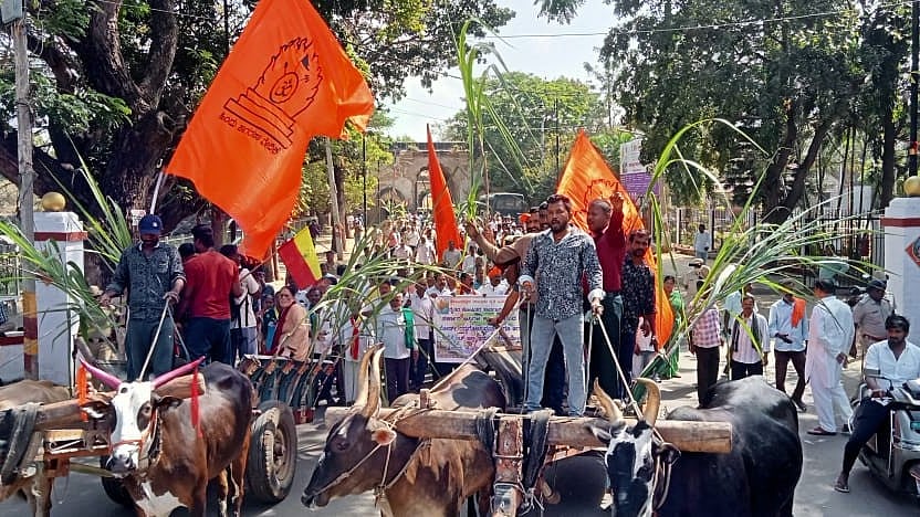<div class="paragraphs"><p>Members of various Hindu outfits stage a protest against Waqf claiming lands, in Srirangapatna town, Mandya district, on Monday.</p></div>