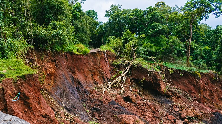 <div class="paragraphs"><p>Representative image showing a landslide</p></div>