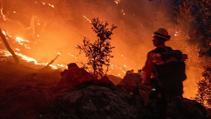 <div class="paragraphs"><p>A firefighter battles the fire in the Angeles National Forest near Mt. Wilson as the wildfires burn in the Los Angeles area.</p></div>