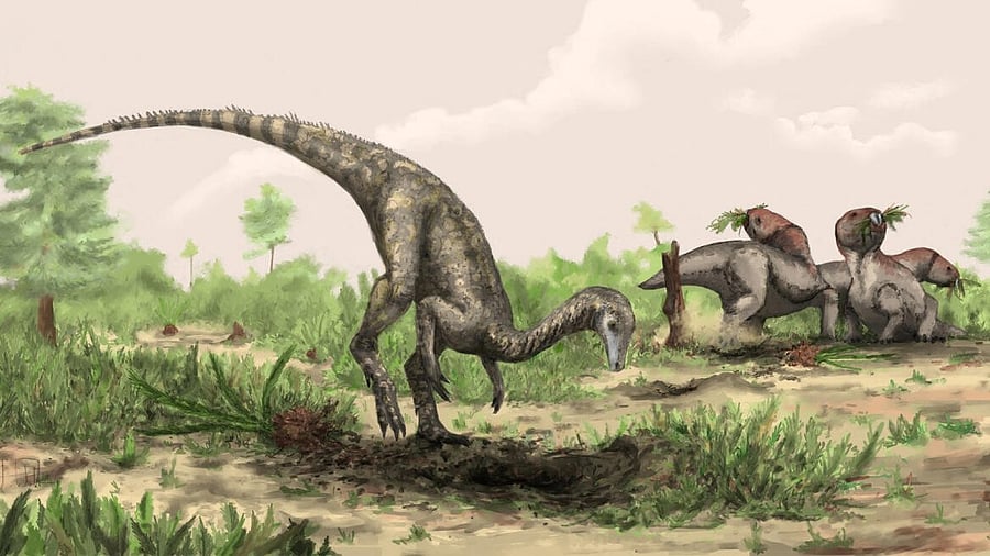 <div class="paragraphs"><p>The Triassic Period creature Nyasasaurus, considered either an early dinosaur or a close relative, is seen in this illustration released on January 23,.</p></div>