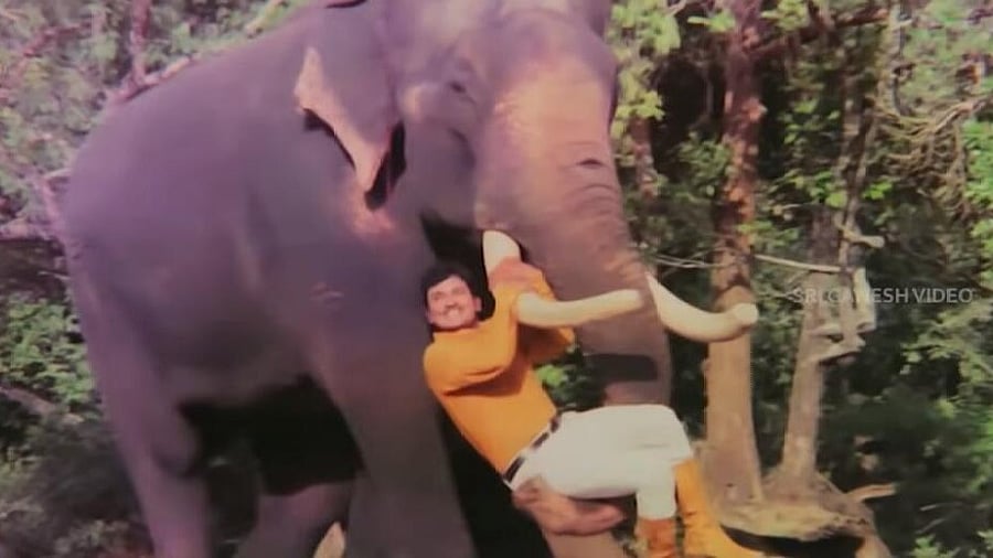 <div class="paragraphs"><p>Dr Rajkumar</p></div>