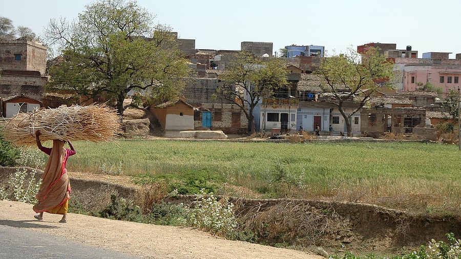 <div class="paragraphs"><p>Representational image of a village.</p></div>