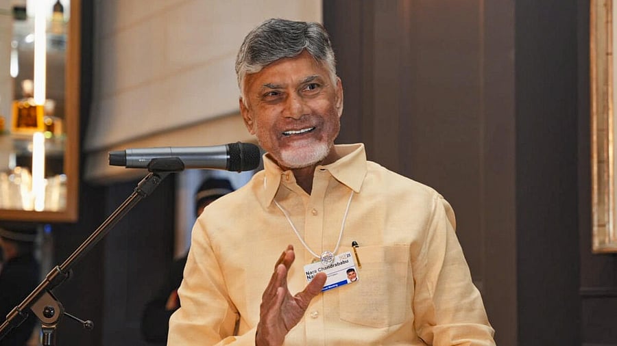<div class="paragraphs"><p>Andhra Pradesh Chief Minister N Chandrababu Naidu.</p></div>