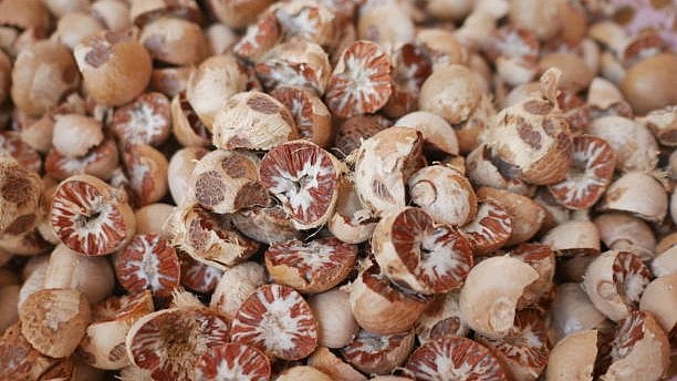 <div class="paragraphs"><p>Dried areca nuts. Image for representation.</p></div>