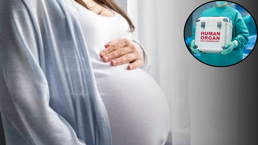 <div class="paragraphs"><p>Having suffered severe head injuries, the woman was rushed to a nearby hospital where she was initially treated for her brain injuries and was later shifted to a private hospital in Pune. (Representative image)</p></div>