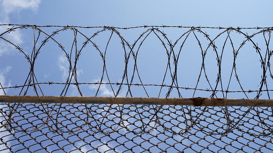 <div class="paragraphs"><p> Barbed and razor wires </p></div>