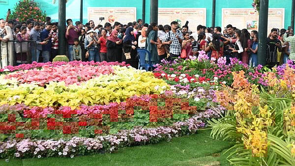 <div class="paragraphs"><p>A large number of people visit the Flower Show at Lalbagh<br>on Republic Day.</p></div>