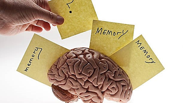 <div class="paragraphs"><p>Image for representation.</p></div>