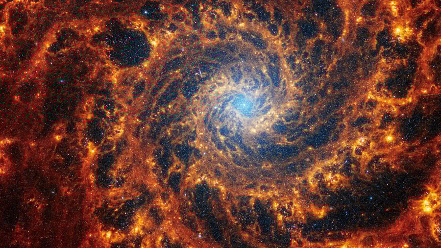 <div class="paragraphs"><p>Representative image </p></div>