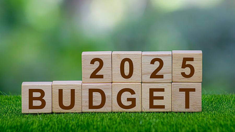 <div class="paragraphs"><p>Representative image indicating Union Budget 2025.</p></div>