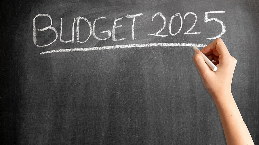 <div class="paragraphs"><p>Representative image with Budget 2025 written</p></div>