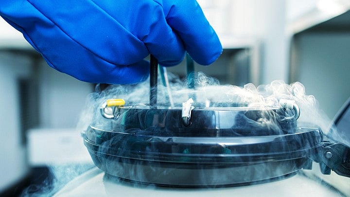 <div class="paragraphs"><p>The retrieved sperm should be preserved by the hospital where the procedure would be performed, the court said. (Representative image)</p></div>