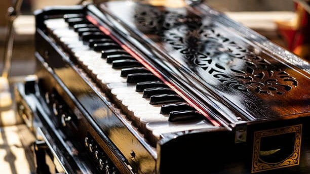 <div class="paragraphs"><p>Image for representation.</p></div>