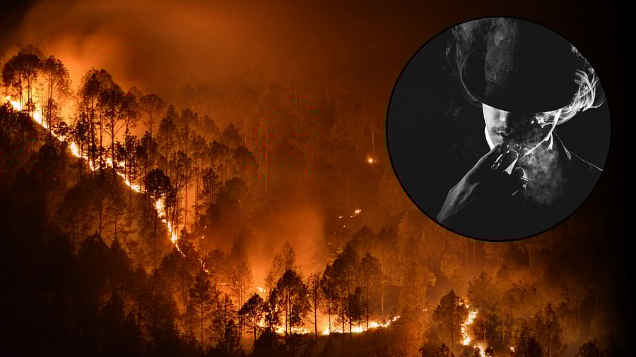 <div class="paragraphs"><p>Image showing a wildfire and a mafioso. For representational purposes.</p></div>