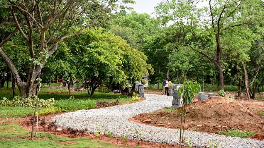 <div class="paragraphs"><p>Tree park at Hennur, Outer ring road in Bengaluru. (Image for representation) </p></div>