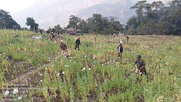 <div class="paragraphs"><p>4.8 hectare of illegal poppy cultivation destroyed </p></div>