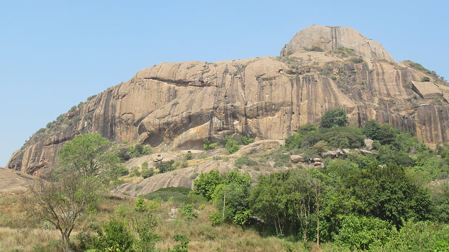 <div class="paragraphs"><p>A view of the Saptharishi hill; one of the caves in Ramanagara, featured in ‘Passage to India’. </p></div>