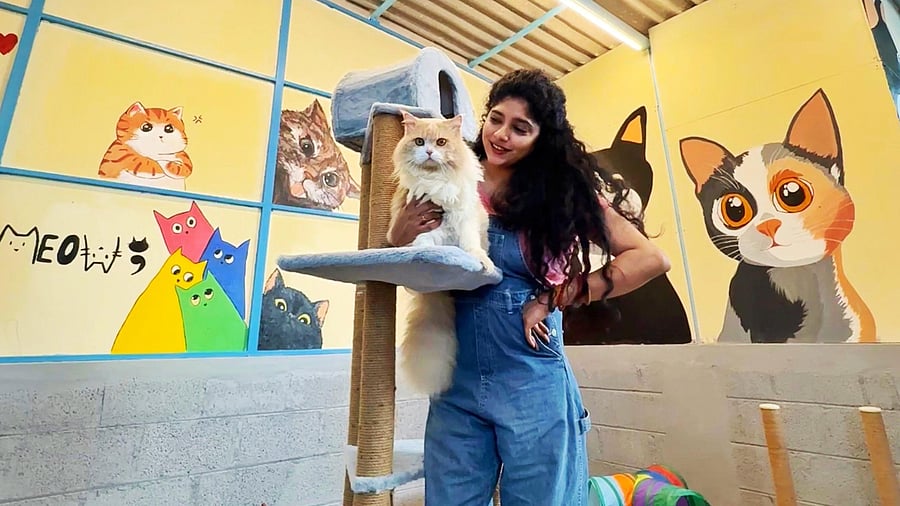 Actor Samyukta Hornad, founder of Praana Animal Foundation, at the cat shelter. It features cat murals on its walls.  