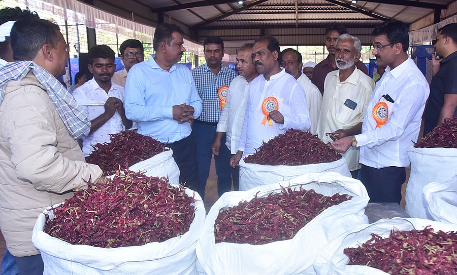 <div class="paragraphs"><p>MLA Prasad Abbayya and others observe dry chilli on sale on the inaugural day of the Dry Chilli Mela at the multi-purpose exhibition centre at APMC yard in Hubballi on Friday. </p></div>