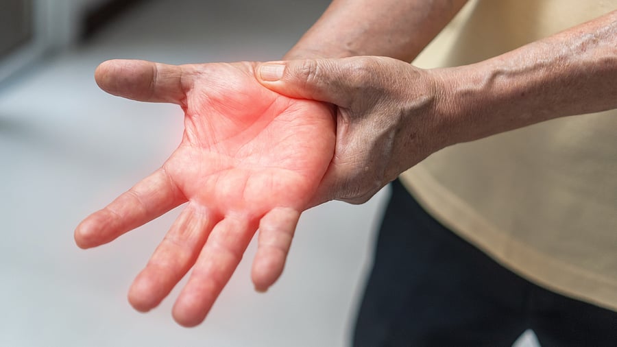 <div class="paragraphs"><p>File photograph used for representational purposes only</p><p><br></p></div>