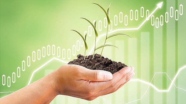 <div class="paragraphs"><p>Image for representation.</p></div>