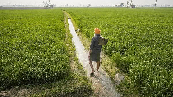 <div class="paragraphs"><p>Representative image of a farmer at work in his fields.</p></div>