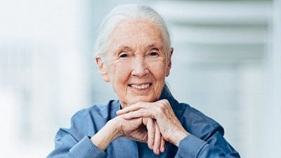 <div class="paragraphs"><p>Jane Goodall.</p></div>