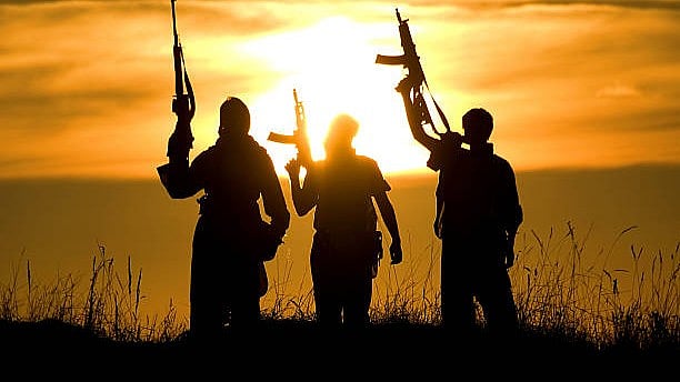 <div class="paragraphs"><p>Image for representation.</p></div>