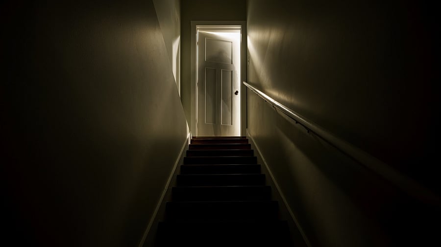 <div class="paragraphs"><p>Image showing a door to a basement. For representational purposes.</p></div>