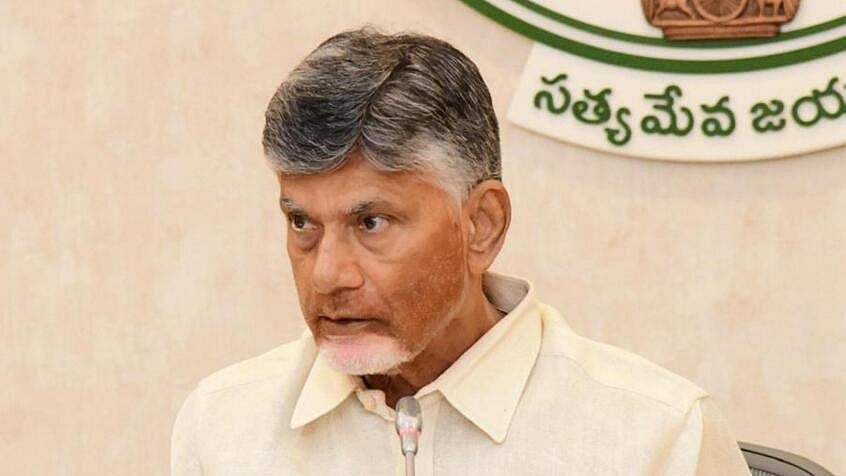 <div class="paragraphs"><p>Andhra Pradesh Chief Minister N. Chandrababu Naidu.</p></div>