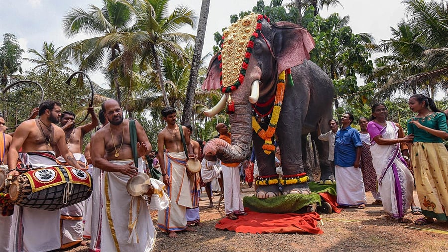 <div class="paragraphs"><p>File photo of mechanical elephant in Kerala temple</p></div>
