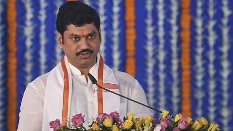 <div class="paragraphs"><p>NCP leader Dhananjay Munde</p></div>
