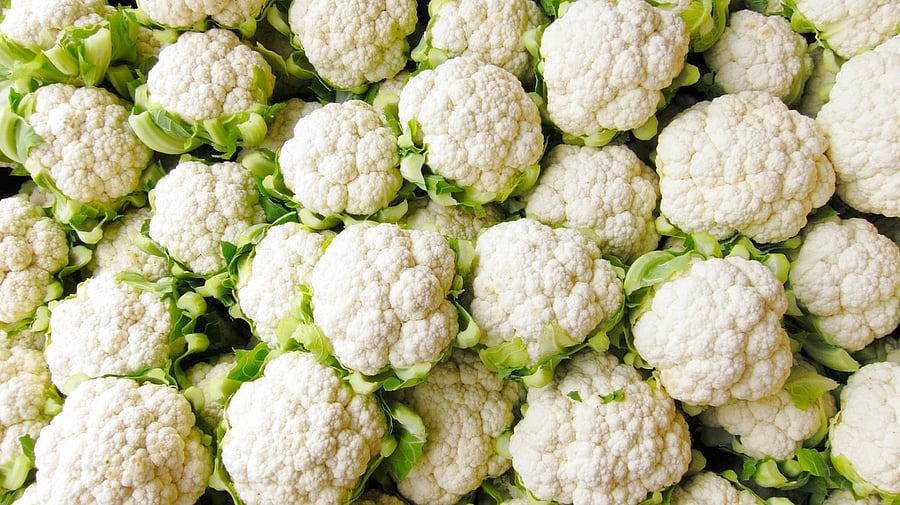 <div class="paragraphs"><p>Around 30 cauliflowers were stolen from the school on Monday morning.</p></div>