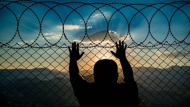 <div class="paragraphs"><p>Image for representation.</p></div>