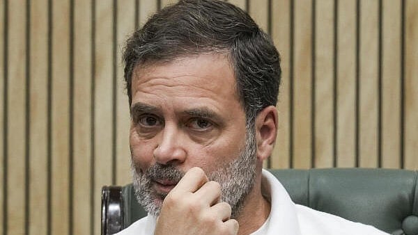 <div class="paragraphs"><p>Rahul Gandhi.</p></div>