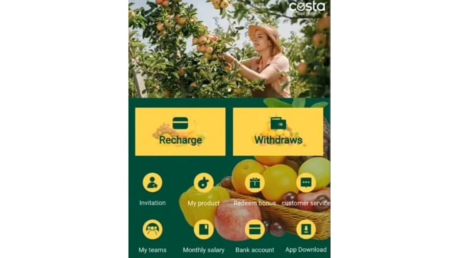 <div class="paragraphs"><p>The fraudulent app’s user interface. </p></div>