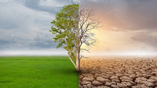 <div class="paragraphs"><p>Representative image of climate change.</p></div>