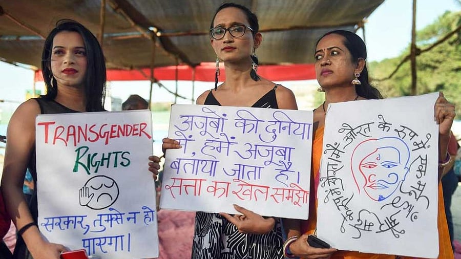 <div class="paragraphs"><p>Transgender community members </p></div>