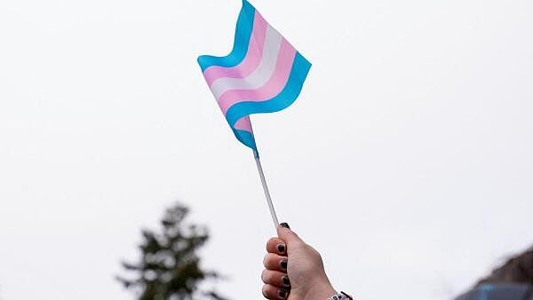 <div class="paragraphs"><p>Transgender community flag. </p></div>