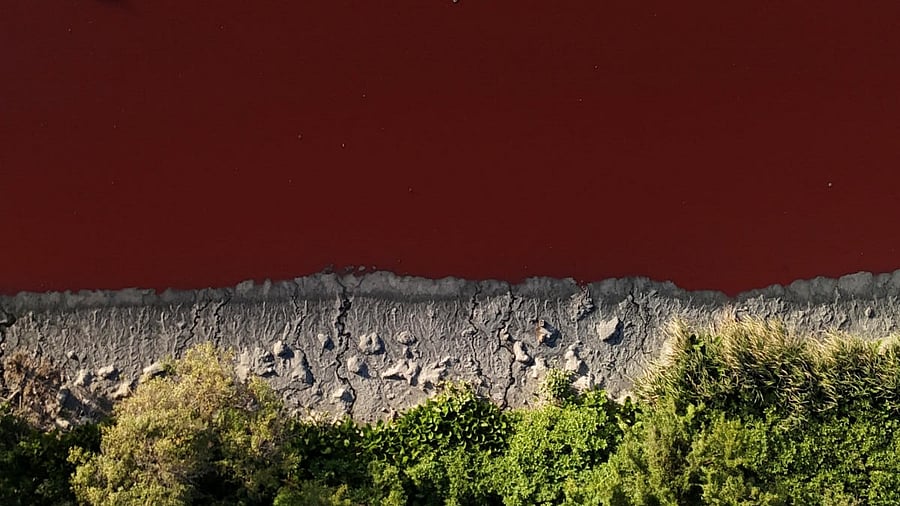 <div class="paragraphs"><p>A drone view shows the Sarandi stream, which flows into the Rio de la Plata river, dyed red for unknown reasons, in Buenos Aires, Argentina February 6, 2025.</p></div>