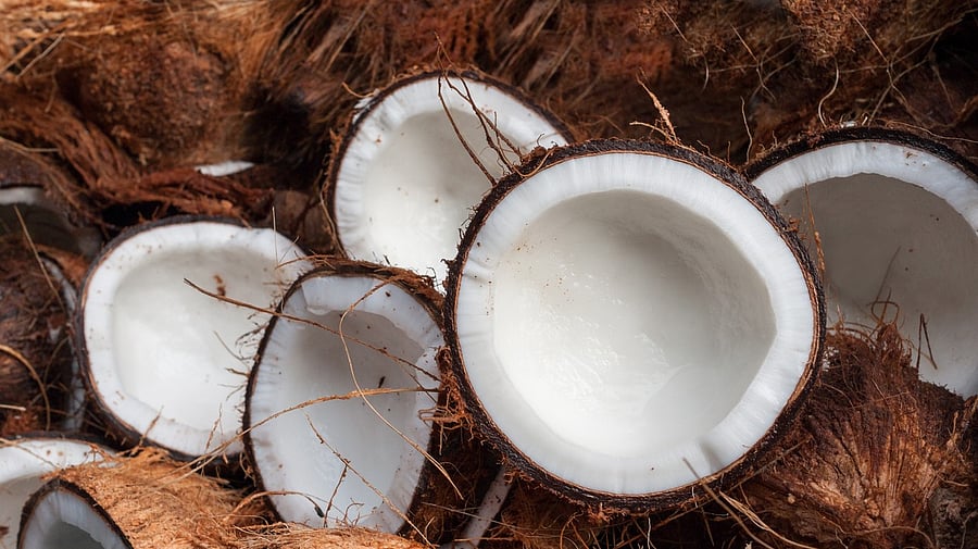 <div class="paragraphs"><p>Photo for representational purpose.</p></div>