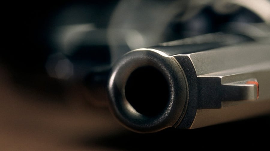 <div class="paragraphs"><p> A 35-year-old man was shot dead allegedly by his brother over a property dispute in southwest Delhi. (Representative image)</p></div>