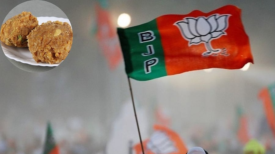 <div class="paragraphs"><p>Representative image of a BJP flag and laddu.</p></div>