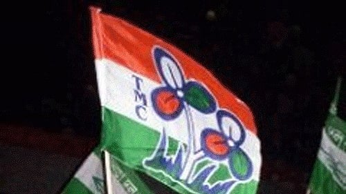 <div class="paragraphs"><p>Trinamool Congress flag. </p></div>