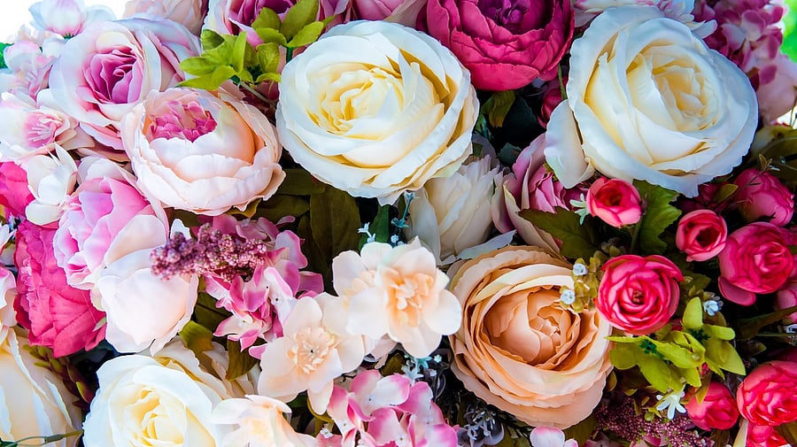 <div class="paragraphs"><p>Representative image of plastic flowers.</p></div>