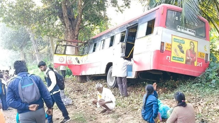 <div class="paragraphs"><p>KSRTC bus bound for KR Pet from Alenahalli lost control and hit a  roadside tree.</p></div>