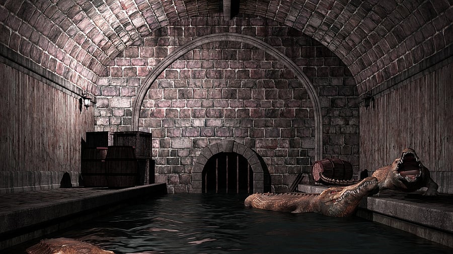 <div class="paragraphs"><p>Representative image showing alligators in a sewer</p></div>