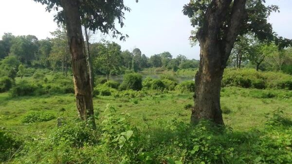 <div class="paragraphs"><p>Representational image only.</p><p><br></p></div>