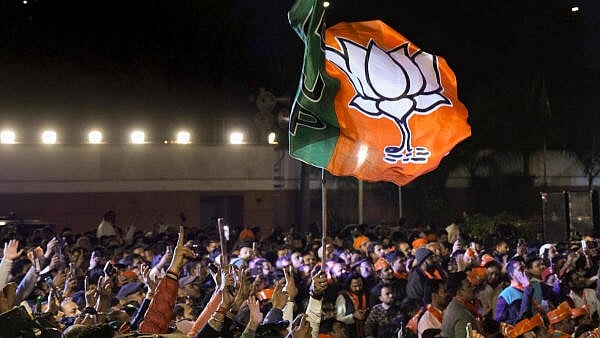 <div class="paragraphs"><p>Celebrations after BJP wins Delhi polls</p></div>