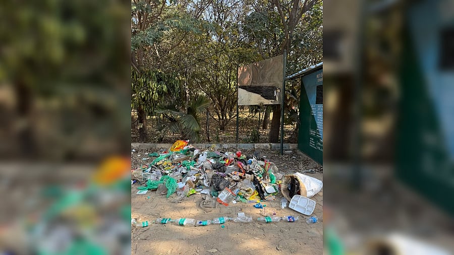 <div class="paragraphs"><p>Waste collected during the clean-up drive at Madiwala Lake on Sunday. </p></div>